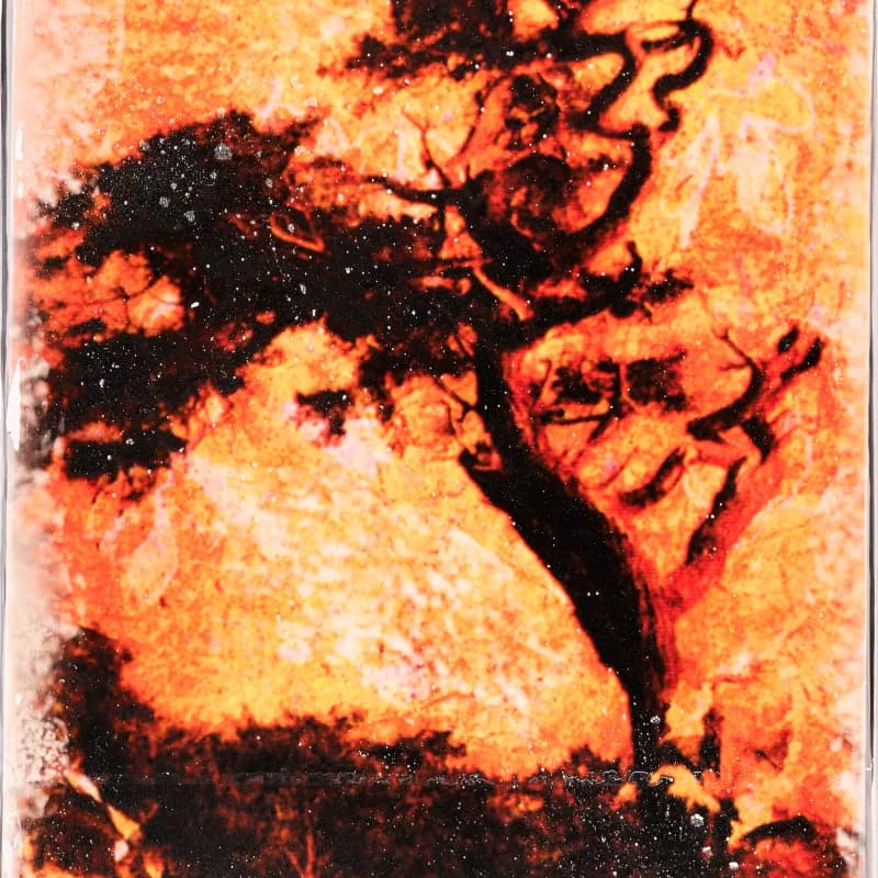 Fine-art capture sample 12 from the pyxartis studio, 5317 × 8031 pixel master