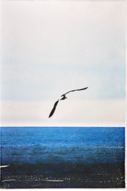 Reverse inkjet print on plaster - recent artwork imaged by PYXARTIS, showcasing intricate details.